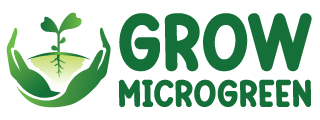 Grow Microgreen